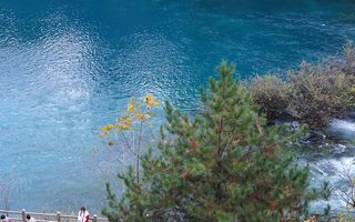 走进九寨沟，闯入童话秘境（下篇） 穿行树正画廊，邂逅九寨藏在柔波里的惊艳