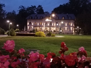 萨拉热窝：在烽火与坚韧中叩问和平​