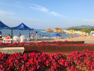 青春忆起一只锚