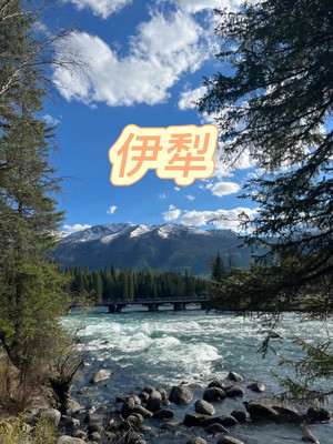 【伊犁自驾游攻略】心旅 | 颠覆你对新疆的认知!🚗💨 #