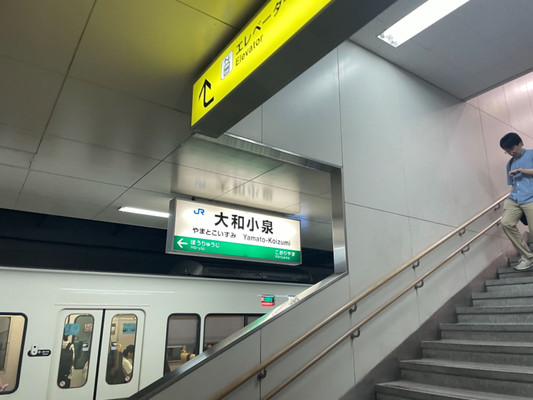 一个母亲带两娃暑假游大阪、京都、奈良游记2023年(三)----奈良篇
