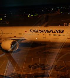 特拉维夫游记图文-以色列游（1）----特拉维夫