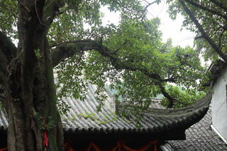 2024年国庆家里蹲两天游