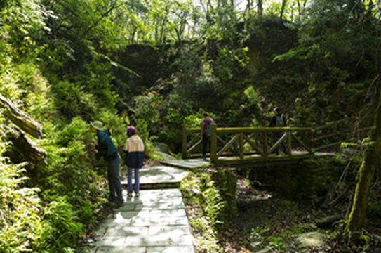 四川广元唐家河国家级自然保护区、青溪古城游玩攻略