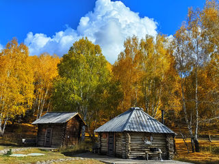 北疆赛里木那拉提喀纳斯白哈巴禾木等九日自驾