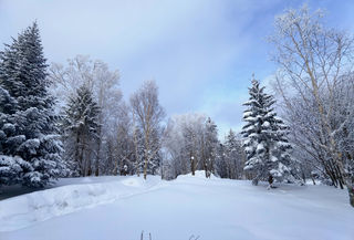 南方人的冰雪梦