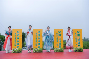 淅川游记图文-一场别开生面的康养旅游！丹江大观苑这片花海能赏能摘还能“泡”