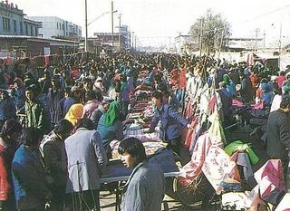 我的家乡--乐陵