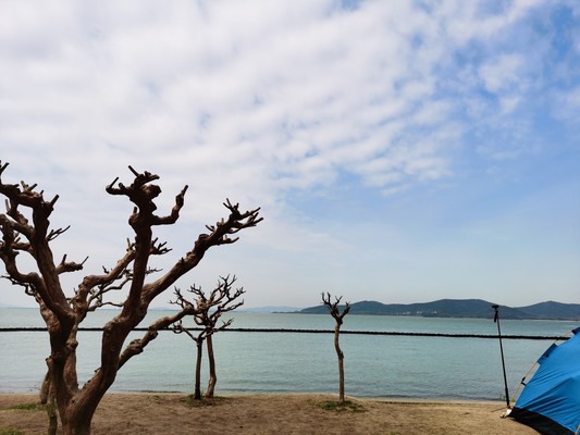 无锡鼋头渚一日游