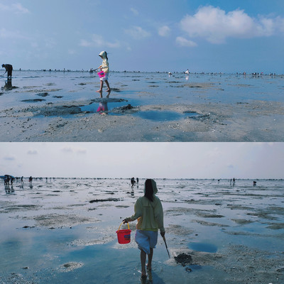 听说,大海成全了夏天一半的快乐——北海赶海之旅