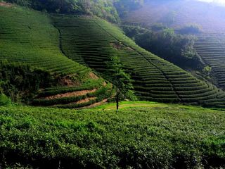 初夏去宜兴吧，听醒渡民宿老板精心安排：三天俩夜私密风景自由行