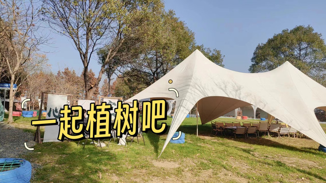 植树节来临，让我们一起为地球献上一片绿意！