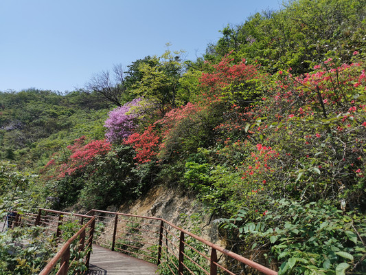 杭州登山线路之卅五:鸬鸟山行迹