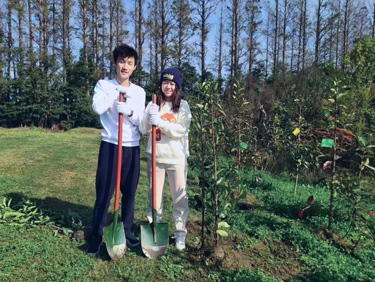 上海奉贤营地一日游:植树+野炊+趣味活动,春日治愈之旅!