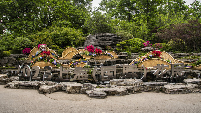 上海植物园游览照片展示（六）