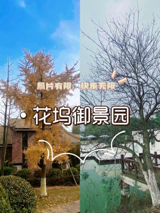 四川德阳之旅：沉浸在绿意与瀑布的梦幻之境