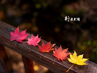 本溪赏红叶旅行攻略 | 有种色彩让人迷恋,唯有去了才能解毒