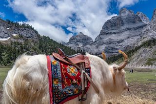 夏天，喜欢巴拉格宗的每一个瞬间