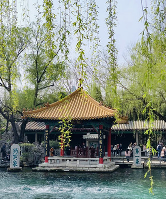 你一句春不晚，我便到了真“济南”