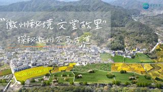 【亲子游】夏日限定“荷”家欢，在文堂故里体验不一样的亲子暑假