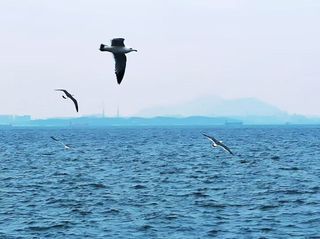 春节一路去看海 感受冬日大连之美