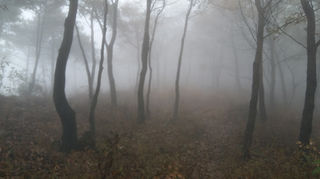 海沸、山裂、天地破，种日月