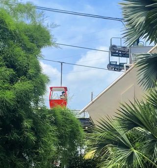 厦门植物园攻略