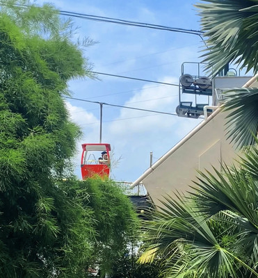 厦门植物园攻略