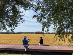 同江游记图片] 云游四海（1847）东北边境行之二十四：同江