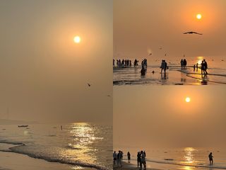 五月的荣成，像被阳光浸透的琥珀