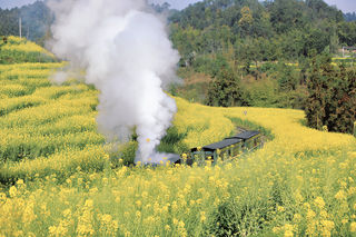 乐山犍为|坐上开往春天的小火车,三天二晚旅行攻略