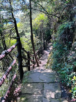 张家界暑期不跟团自由行,张家界自助游全攻略!