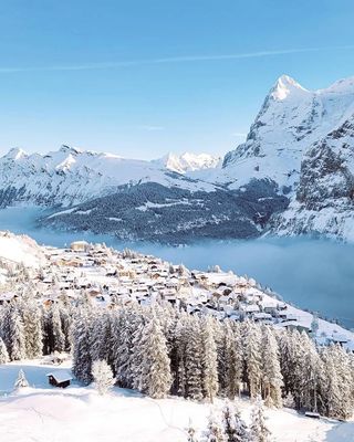 优选酒店 | 当世界开始下雪，瑞士的米伦小镇变成了童话仙境
