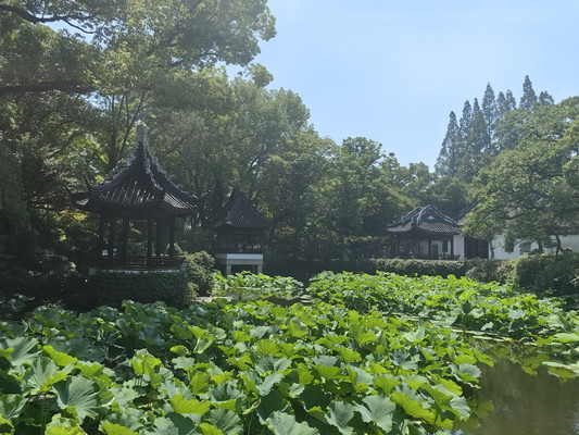 沪上名园——青浦曲水园