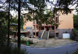 浙江湖州安吉董岭龙岭山庄农家乐，位于景区内，农家鲜笋可劲吃！