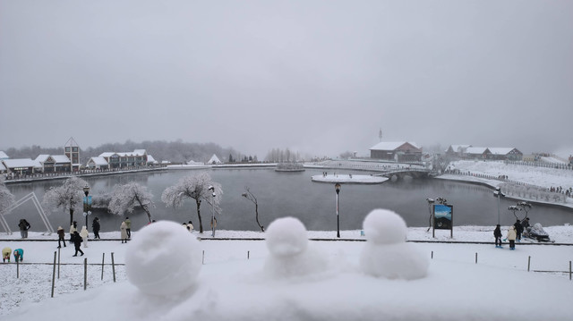 冬日梦幻之旅:入住西岭雪山脱壳龟营地蛋