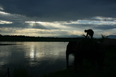 尼泊尔游记图片] 尼泊尔奇旺国家公园：探索野生动物和自然风光的绝佳之地