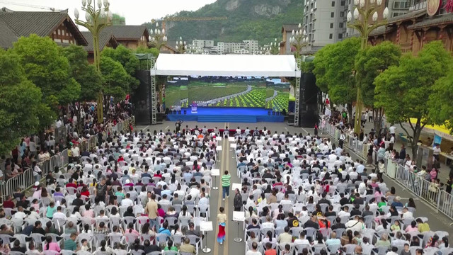 2023年“醉美遵义”避暑旅游季暨“清凉桐梓”第十二届乡村文化旅游季启动!