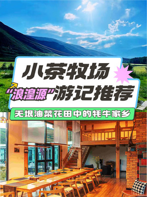 青海湟源·小茶牧场丨无垠油菜花田中的牦牛家乡