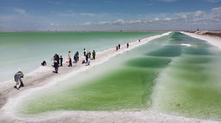适合自驾游的青甘线路，大漠/雅丹/丹霞/石窟/雪山/湖泊/草原/花海/庙宇/盐湖
