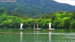 丽水游记图片] 浙江丽水古堰画乡景区攻略2025.04.25