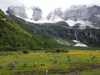 一路向西,广州到稻城亚丁自驾游记