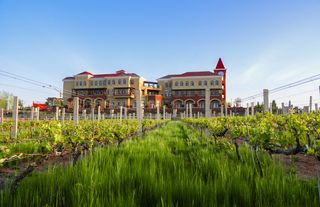 暑假出游，在乳山享受山海齐胜的魅力！