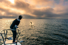 佛罗里达游记图片] 探索海钓魅力：Flats Fishing 平底船钓鱼，一种独特的海洋垂钓体验