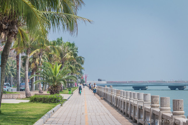 夏日将至,去海边城市珠海,坐游轮看港珠澳大桥,赏珠澳两地风光
