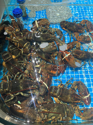 沂水蓝海国际大饭店全新升级,一起周边游体验一下吧