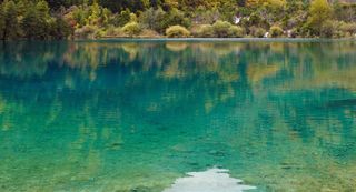 走进九寨沟，闯入童话秘境（上篇） 踏风赴九寨，赴一场藏在川北的斑斓之约