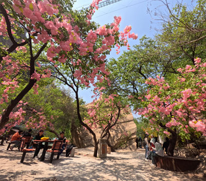 拥抱春天，品味精彩人生，开启五一假期之旅！