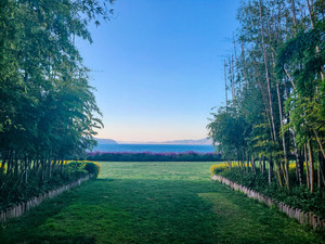 喜洲古镇游记图文-彩云之滇