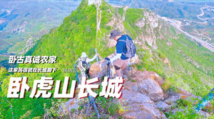 古北水镇/司马台长城游记图文-卧虎山长城民宿卧古真诚农家就在长城脚下-民宿汇